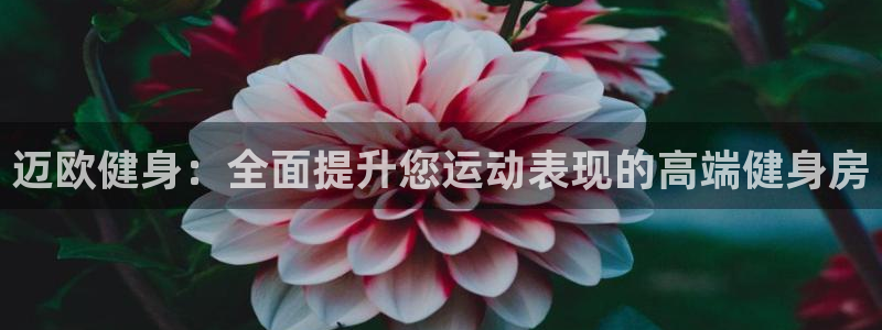 意昂4招商