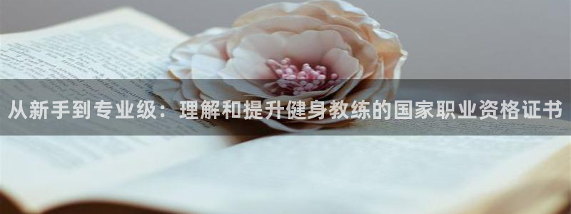 意昂4代理