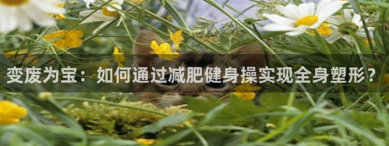 意昂4注册