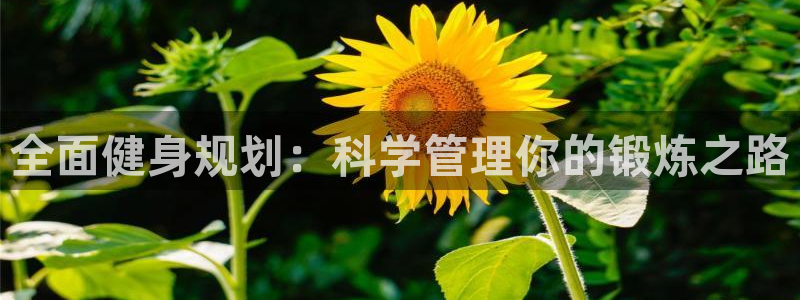 意昂4平台