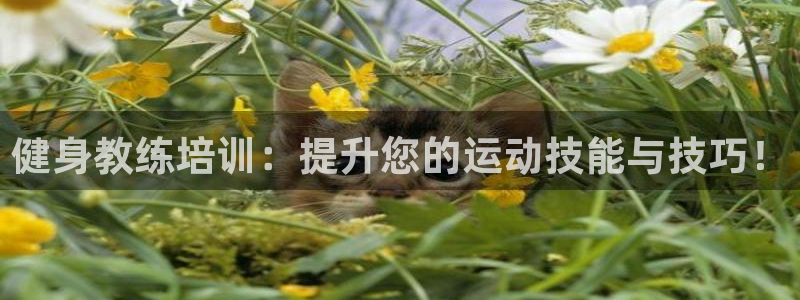 意昂4娱乐