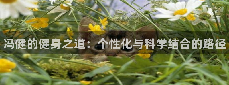 意昂4官方平台