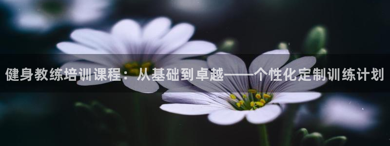 意昂4官网