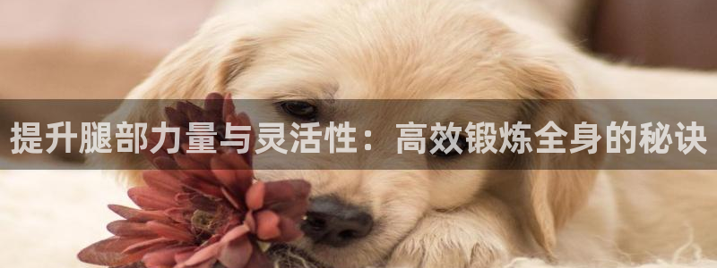 意昂4登录