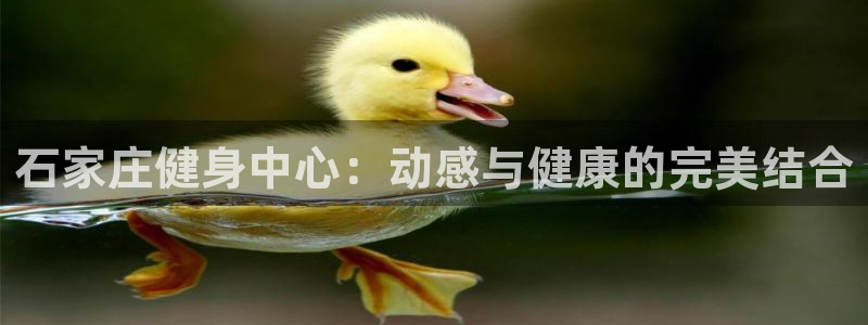 意昂4代理
